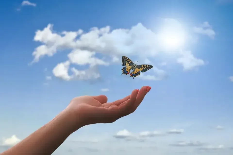 An open hand releasing a butterfly into a blue sky